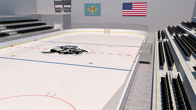 View of the ice rink
